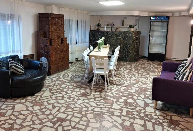 膳宿费 Cabana Brădetu Montway