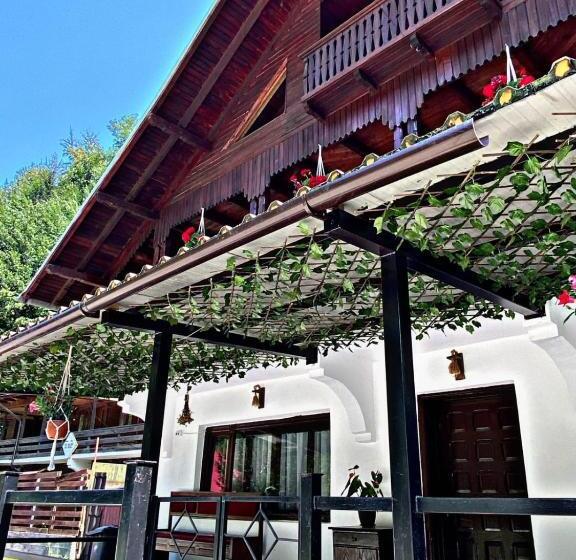 膳宿费 Cabana Brădetu Montway