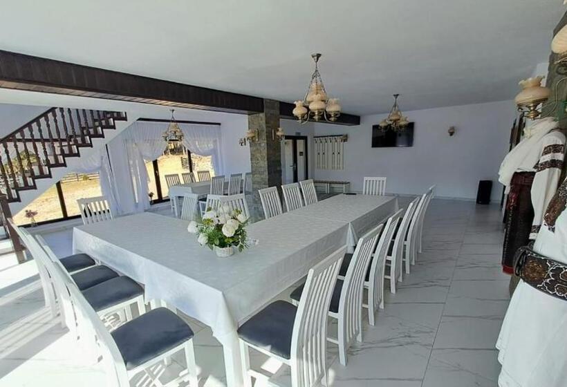 ペンション Conacul Munții Bucovinei