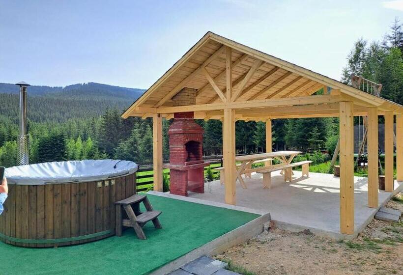 ペンション Conacul Munții Bucovinei