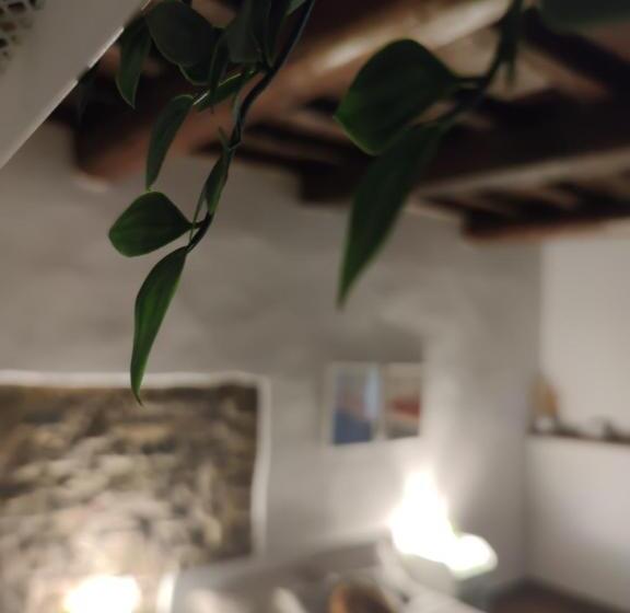 پانسیون Dante S Room Dei Cerchi