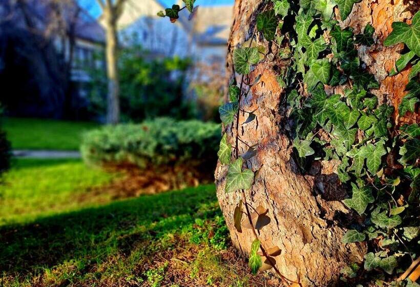 펜션 Füge Villa Luxury & Wellness