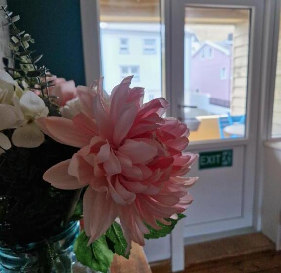 پانسیون Guesthouse Hugo