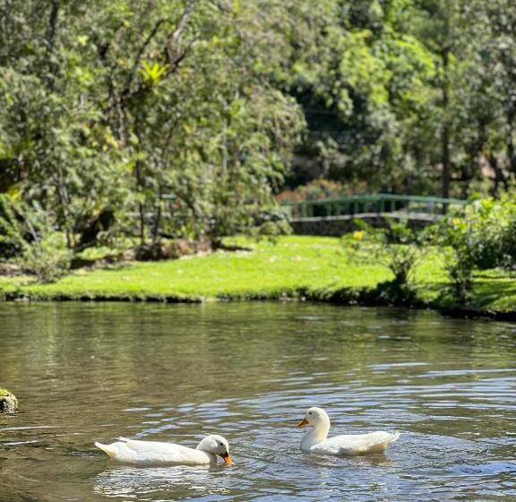 بنسيون La Casa De Los Patos