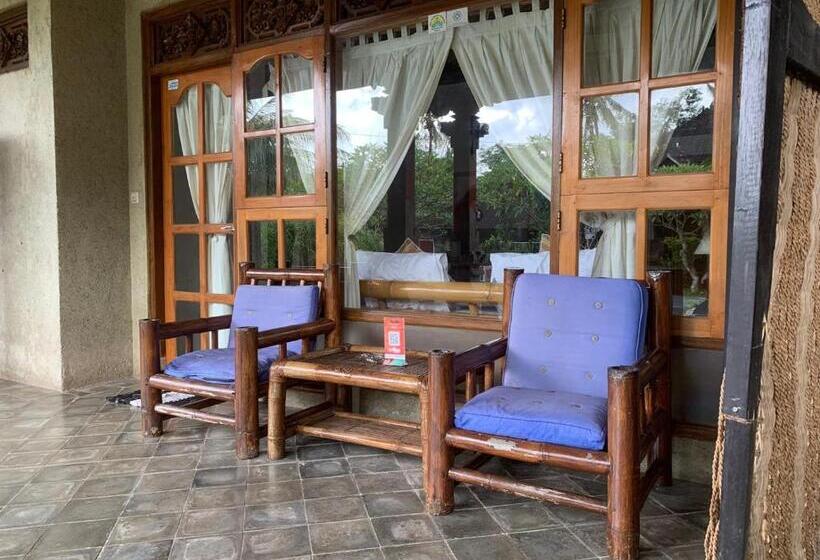膳宿费 Narafa S Guest House