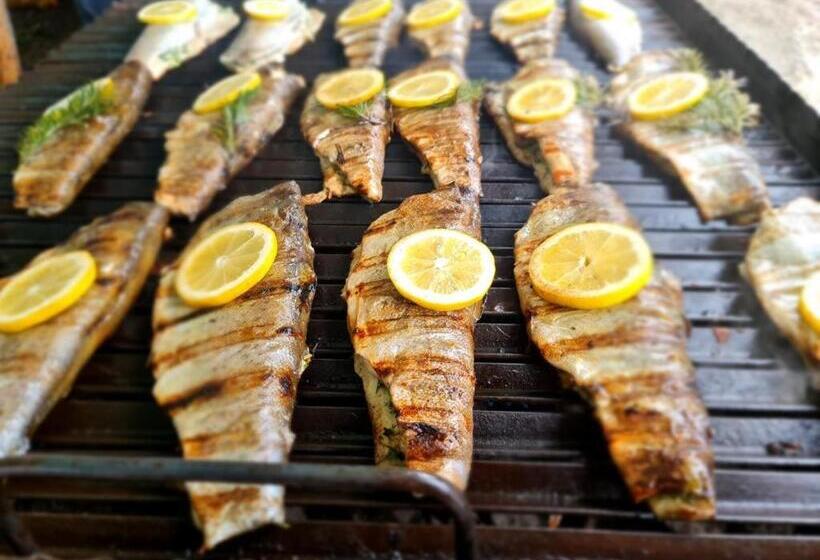 Пансион Pastravaria Rin