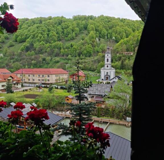 Пансион Pastravaria Rin