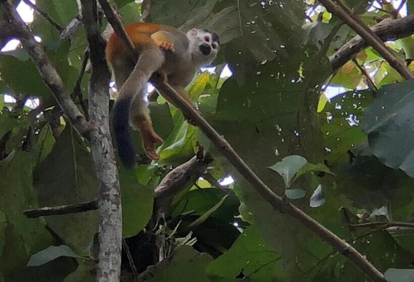 ペンション Puesta Del Sol