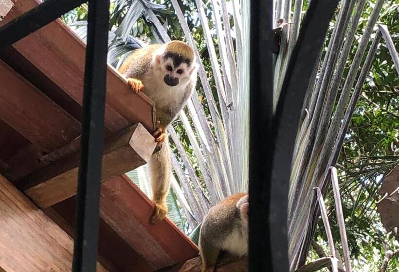 ペンション Puesta Del Sol