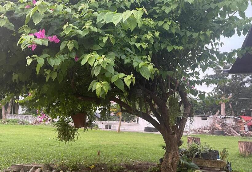 פנסיון Summer Room B