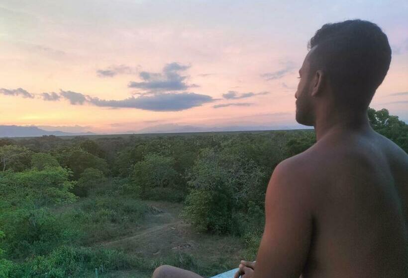 פנסיון Wild Wind Safari And Holiday Resort