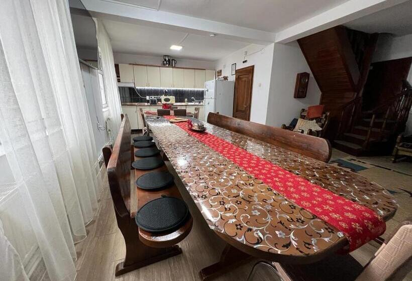 Pensiunea Aurora Vartop