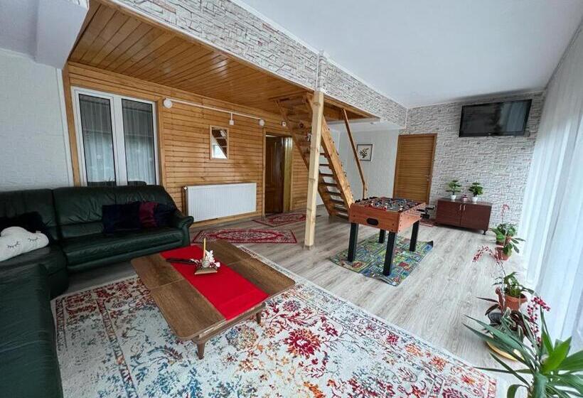 Pensiunea Aurora Vartop