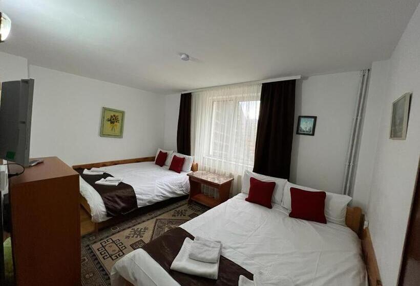 Pensiunea Aurora Vartop