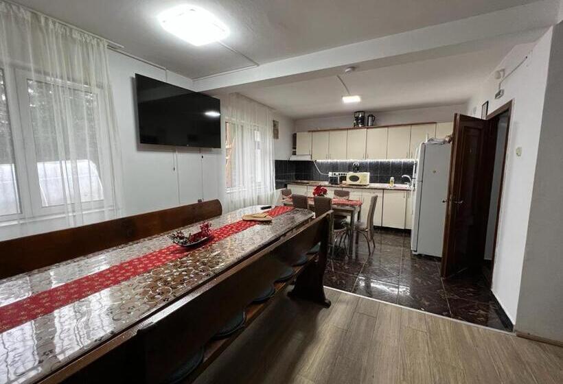 Pensiunea Aurora Vartop