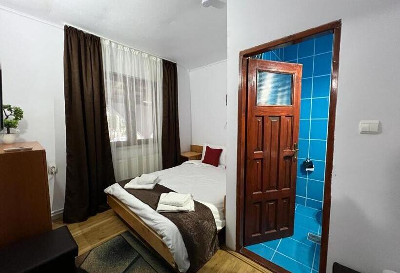 Pensiunea Aurora Vartop