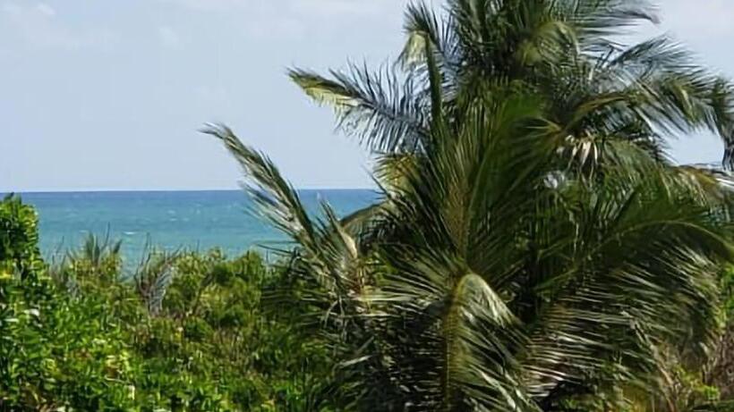 渡假胜地  Alaskabay Arugambay