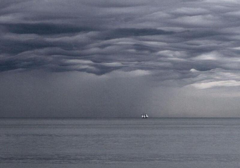 ベッドアンドブレックファースト Alexander S