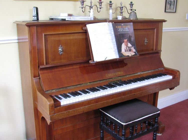 Bed and Breakfast Austons Down