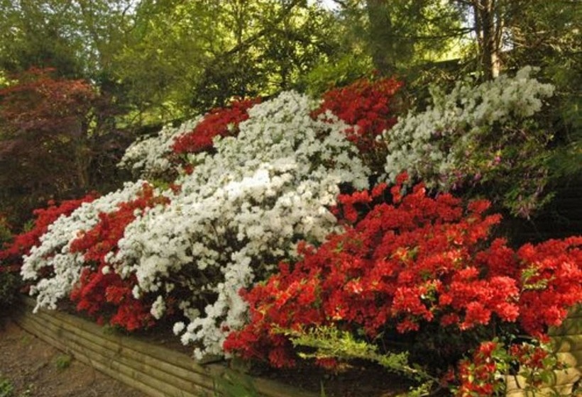 Bed and Breakfast Beechwood Inn