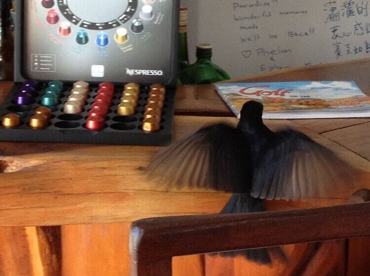 住宿加早餐 Brenton Beach House