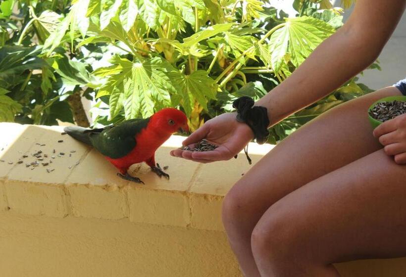 צימר Bundanoon Lodge