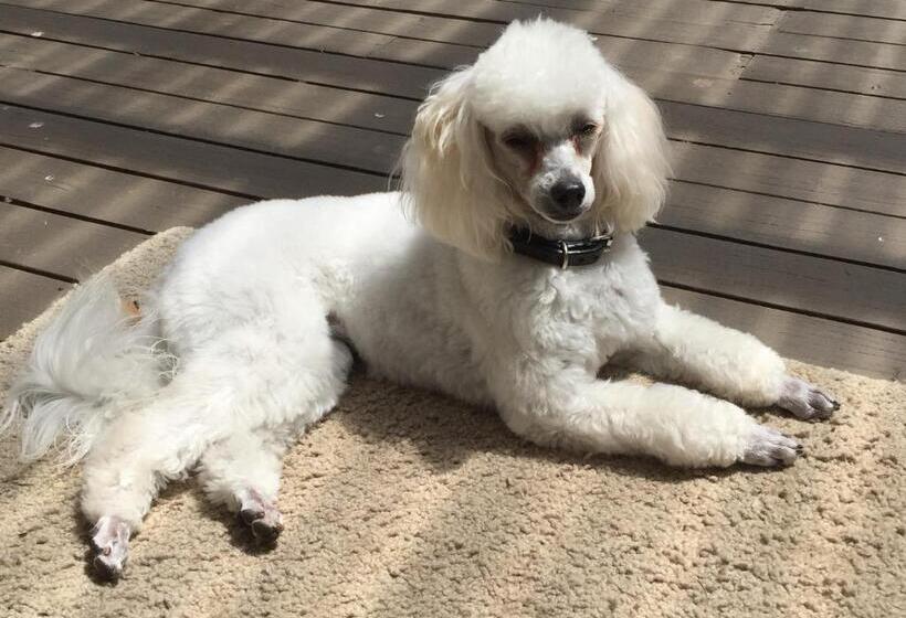 צימר Bundanoon Lodge