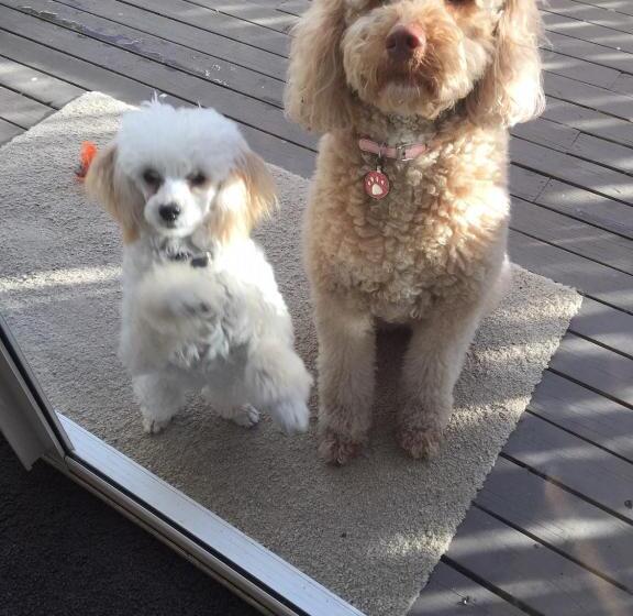 צימר Bundanoon Lodge