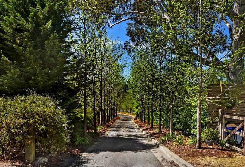 צימר Bundanoon Lodge