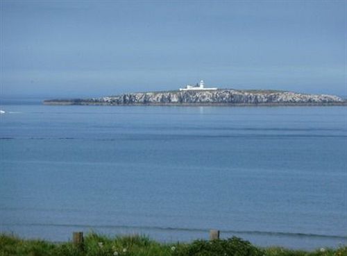 ベッドアンドブレックファースト Gun Rock