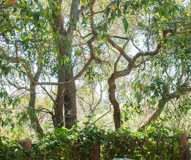 تختخواب و صبحانه Hideaway Haven