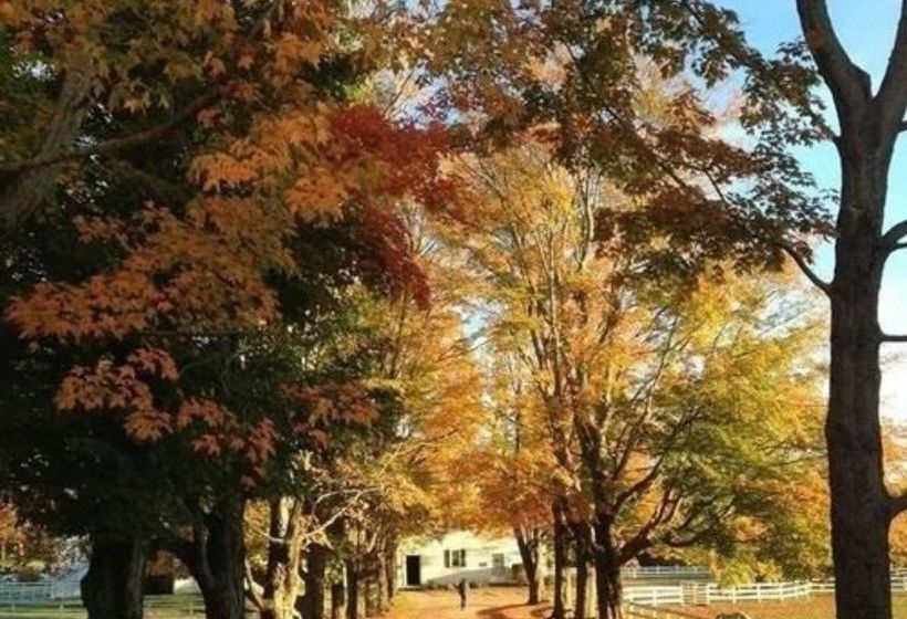 مبيت وإفطار The Inn At Richmond