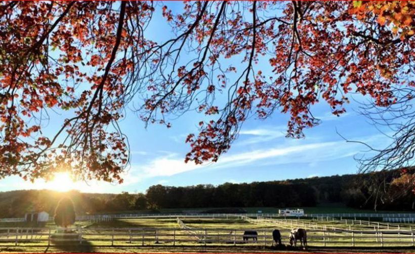 مبيت وإفطار The Inn At Richmond