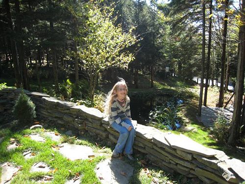 Bed and Breakfast Serenity Now