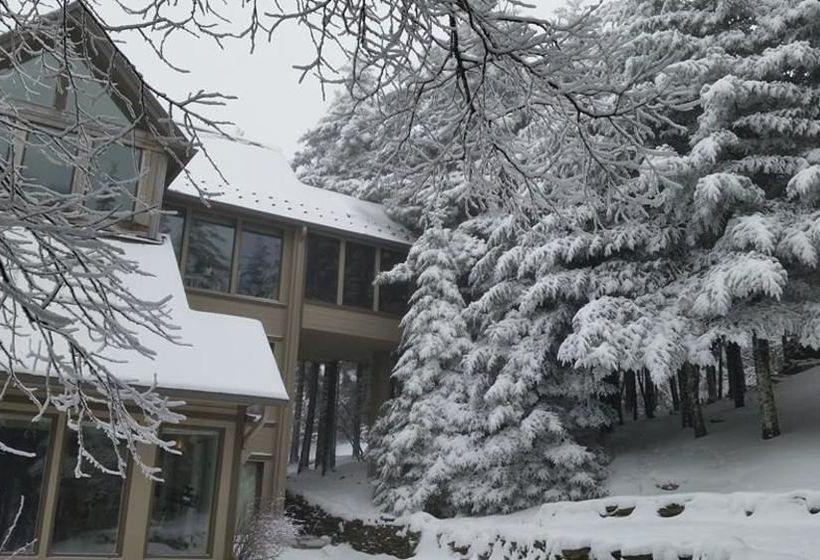 Bed and Breakfast Serenity Now