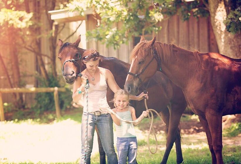 مبيت وإفطار Seventy Four Ranch