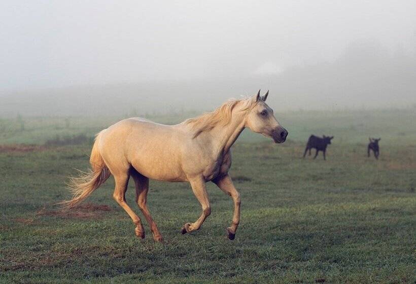 مبيت وإفطار Seventy Four Ranch