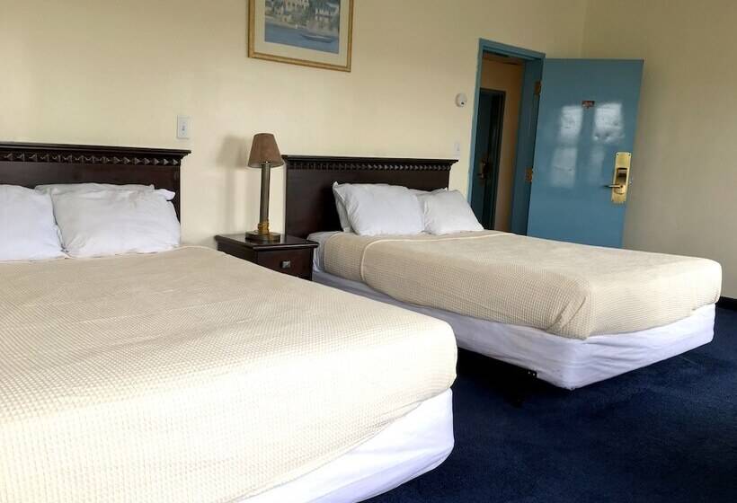 مبيت وإفطار The Belmar Inn