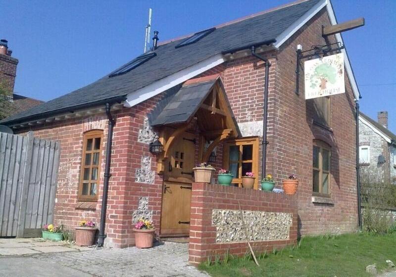 مبيت وإفطار The Oak At Dewlish