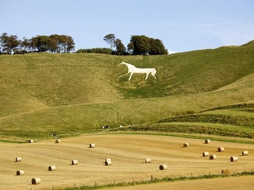 민박 The Old Joinery