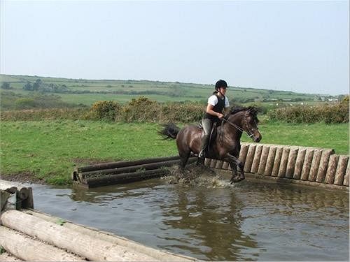 住宿加早餐  The Old Vicarage