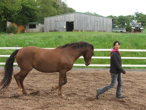 住宿加早餐  The Old Vicarage