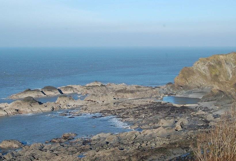 تختخواب و صبحانه The Olive Branch