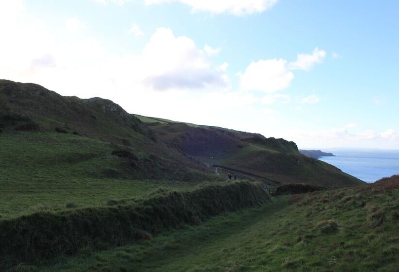 تختخواب و صبحانه The Olive Branch