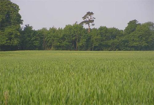 민박 Toomer Farm
