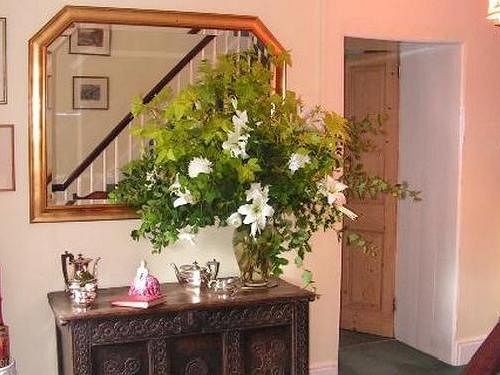 مبيت وإفطار Toomer Farm