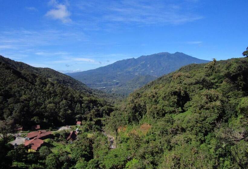 צימר Tree Trek Boquete Adventure Park