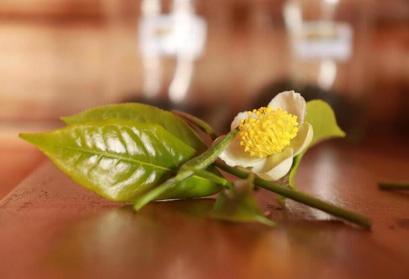 צימר Tree Trek Boquete Adventure Park