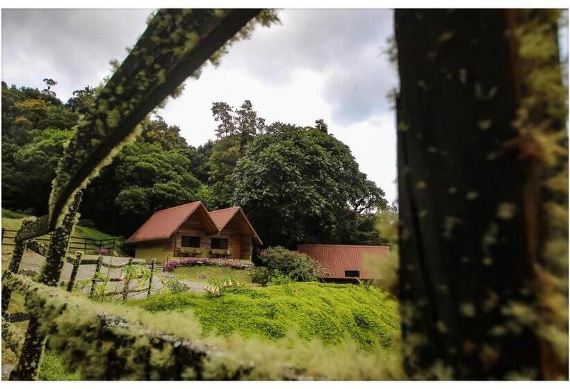 צימר Tree Trek Boquete Adventure Park