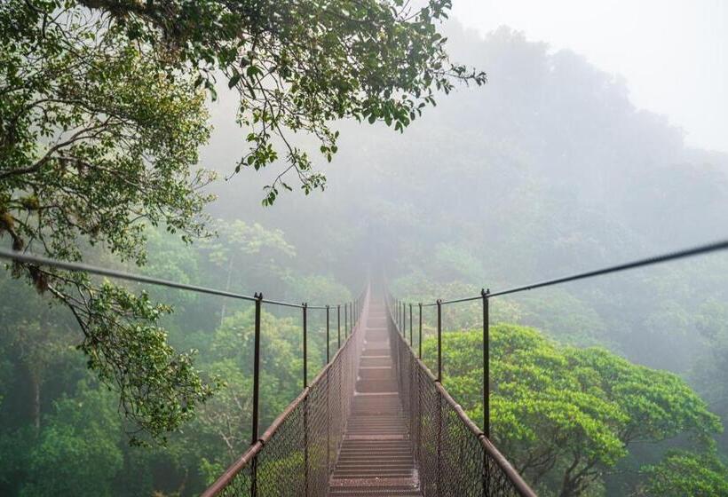 צימר Tree Trek Boquete Adventure Park